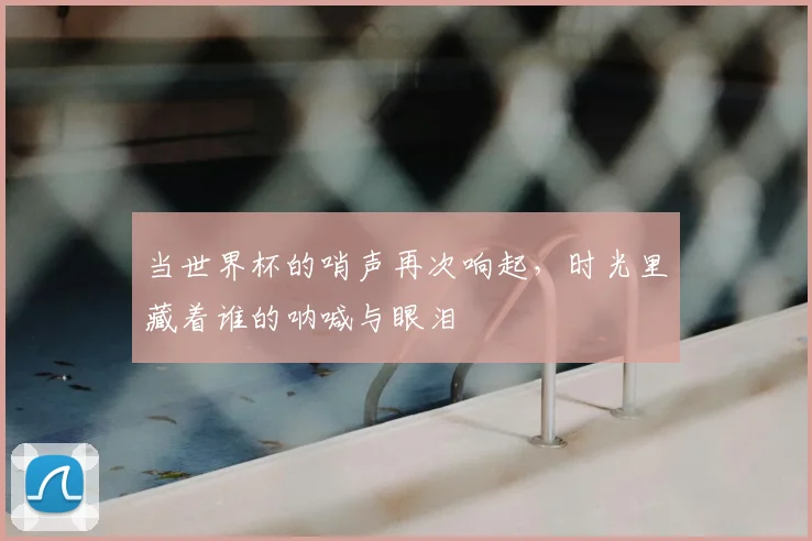 当世界杯的哨声再次响起，时光里藏着谁的呐喊与眼泪