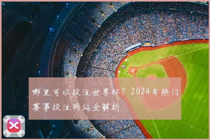哪里可以投注世界杯？2024年热门赛事投注网站全解析