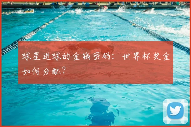 球星进球的金钱密码：世界杯奖金如何分配？