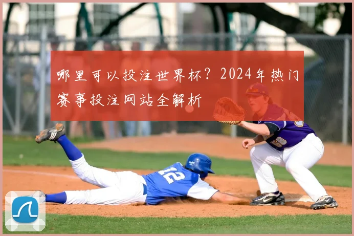 哪里可以投注世界杯?2024年热门赛事投注网站全解析