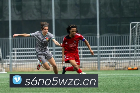 九游j9官网活动入口APP 封面图